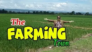 Farming in the country side of the Philippines 