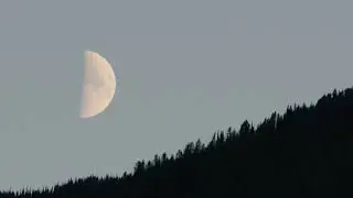 bon iver / phoebe bridgers type instrumental &ldquo;forget&rdquo;
