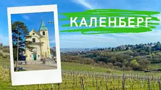 ВЕНА. КАЛЕНБЕРГ, НУССБЕРГ и пикник | Влог