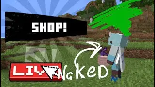 Building a Shop at New Spawn!