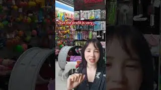 Pet supplies wholesale from yiwu China