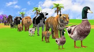 Long Slide Game with Cow Elephant Gorilla Hippopotamus Tiger 3d Animal Game Funny 3d Animals