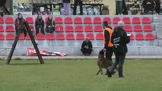 Алексей Болошко и Бумер Рыжая Бестия (CACIT) IGP-3 B-89