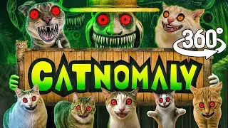 360&ordm; VR CATNOMALY!
