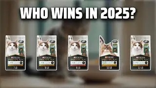 The Top 5 Best Allergy Reducing Cat Food in 2025 - Must Watch Before Buying!