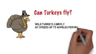 Turkey Trivia