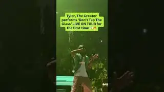 Tyler, The Creator performs 