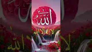 ভিডিওটা ধাক্কা দিবেন তো কানা হয়ে যাবেন#amazing#history #motivation #trending#viralvideo #islamshorts
