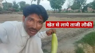 Khet se laye tajee laukee || खेत से लाये ताजी लौकी || 🙏#dailyvlog #newvideo #familyvlog #lifestyle