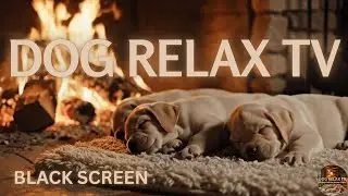 Winter Puppy Sleep - No Separation Anxiety | NO Ads