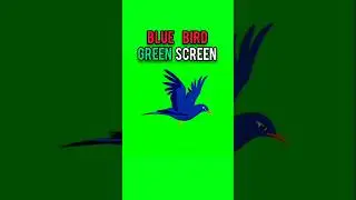 Blue bird stampede green screen‼️#bird #stampede #dailygreenscreen