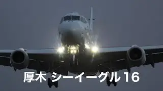 下総航空基地 2026/01/29