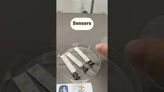 How to setup gas detection equipment in a laboratory