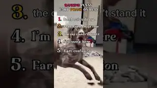 RANKING TOP FUNNY FART PRANK ON PET VIDEOS 😭😭. #funny #pets #doglife #goldenretriever #cutedog
