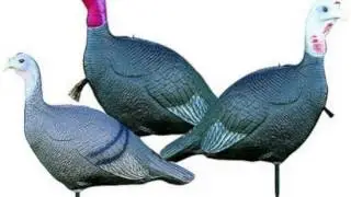The Turkey Hunter - One of My Favorite Turkey Hunting Stories