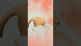 Kotek skacze wprost do kalendarza &hearts; Arcytw&oacute;r