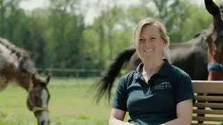 Reiten f&uuml;r die ganze Familie an der Ostsee - Reiterhof Boltenhagen stellt sich vor