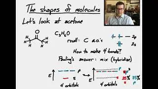 Shapes of molecules and their origins