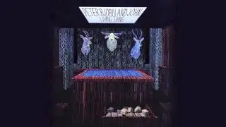 Peter Bjorn and John - Nothing To Worry About