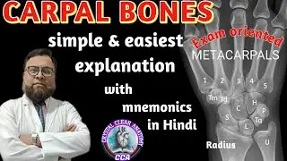 CARPAL BONES - ANATOMY  I WRIST BONE EXPLAINED 🔥🔥🔥💥💥💥