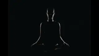 The Organic Transformation! #spirituality #presence, #stillnessspeaks. 🦋☘️🙏🏾