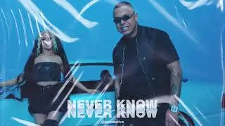 LUCIANO feat. SHIRIN DAVID - NEVER KNOW INSTRUMENTAL (Reprod. by Jemia Silva)