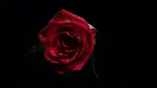 [FREE ]Trap Soul Type beat - 