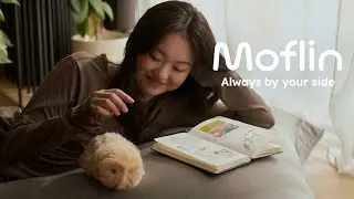 Meet Moflin: Your Emotionally Responsive Smart Companion | CASIO