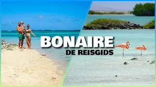 BONAIRE: De ULTIEME Reisgids voor het pareltje van Caribisch Nederland in 4K