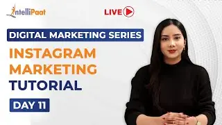 Digital Marketing Series Day 12: Instagram Marketing | How To Grow Your Business On Instagram