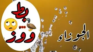 برج #الجوزاء 🤭🤗😜🌿طاقه حمايه... الرآيه حق والتفسير يارب من حظك ونصيبك وهو كدا