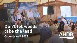 Groundswell 2025: Не позволяйте сорнякам взять верх | AHDB