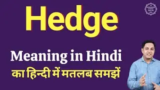 Hedge meaning in Hindi | Hedge ka kya matlab hota hai | daily use English words