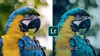 Lightroom Photo Editing Tutorial In Mobile || Lightroom SR Editing Zone