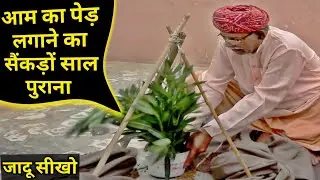 आम का पेड़ लगाने का सैंकड़ों साल पुराना जादू सीखो GuruChela magician,Magic,Jadu No260 magic exposed