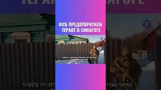Исламисты планировали взорвать синагогу в Москве?