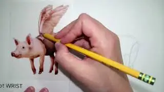 Gesture Drawing of a Pig Flying