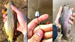 BEST Stocked Trout Setup for Beginners (No Live WORMS Needed!)