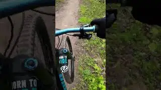 Kleine Jumpline | Home Trail Krefeld [MTB RAW]
