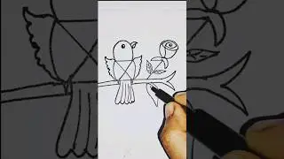how to draw bird # my drawing store