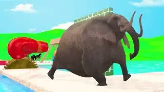 long slide video gorilla, elephant,  monkey, cow, tiger