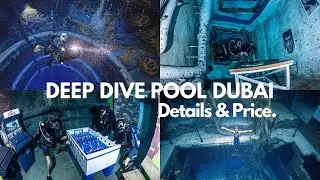 Deep Dive Pool Dubai Details with Price &  Location