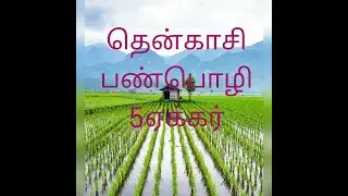 NO: 188 * Agricultural land for sale * Tenkasi , Panpoli  5 acres