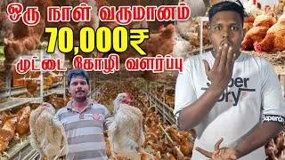 2,100,000₹ மாத வருமானம் பெறும் விவசாயி | கோழி வளர்ப்பு |Voice Of Anushan