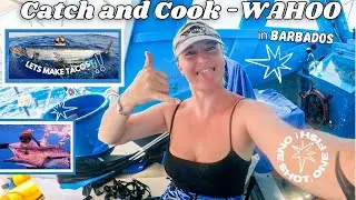 🎯 Catch & Cook: Spearfishing Wahoo (aka King Fish) in Barbados! 🇧🇧🐟 | Ocean to Table Tacos Recipe