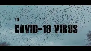 Coronavirus but its the walking dead theme.
