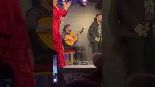 Great Flamenco show & meal at Corral de la Moreira, Madrid, Spain