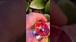 Torch Fired enamel poppy stainless steel spoon ring. #veterans #veday #poppy