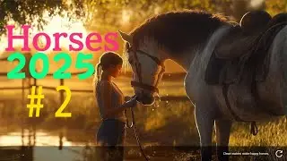 Horses 2025 Part 2