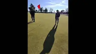 How many trees did I hit!? #POV #Golf #metaglasses #viral #fyp 